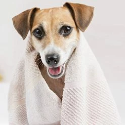 Mia's Pet Supply Hygiene Oster Oatmeal Essentials 4-in-1 Shampoo