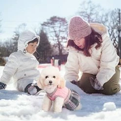 Flash Sale ๐ Mia's Pet Supply BINGPET Cute ๐ฆฎ Dog Sweater ๐ Dress ๐คฉ 15 Mia's Pet Supply BINGPET Cute Dog Sweater Dress