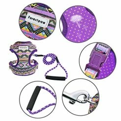 Mia's Pet Supply Multi-Colored Stylish Dog Walking Vest Harness And Leash Set- Leashes And Harness