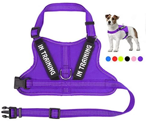 Best deal 🎉 Mia's Pet Supply Leashes And Harness NOYAL In Training 🐶 Dog Harness, Soft Breathable Mesh 🐶 Dog Vest Harness 🛒 9 Mia's Pet Supply Leashes And Harness NOYAL In Training Dog Harness, Soft Breathable Mesh Dog Vest Harness
