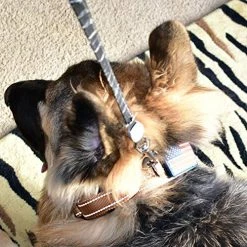 Mia's Pet Supply Dog Collar With Control Handle