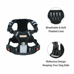 Buy β Mia's Pet Supply : Babyltrl Big πΆ Dog Harness No-Pull Adjustable Leashes And Harness π 10 Mia's Pet Supply : Babyltrl Big Dog Harness No-Pull Adjustable Leashes And Harness