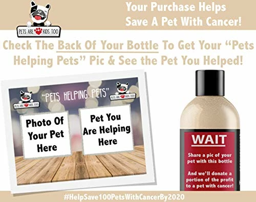 Best deal โ๏ธ Mia's Pet Supply : Pet Oatmeal Anti-Itch Shampoo & Conditioner In One! ๐ 7 Mia's Pet Supply : Pet Oatmeal Anti-Itch Shampoo & Conditioner In One!