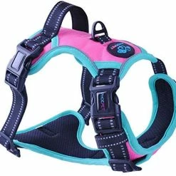 Mia's Pet Supply Leashes And Harness PHOEPET 2019 Upgraded No Pull Dog Harness, 3M Reflective Adjustable Vest