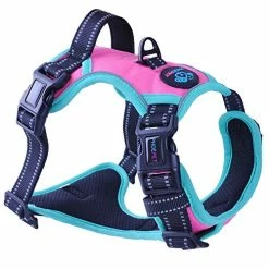 Mia's Pet Supply Leashes And Harness PHOEPET 2019 Upgraded No Pull Dog Harness, 3M Reflective Adjustable Vest