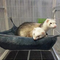 Mia's Pet Supply EONMIR Small Animal Sponge Double Hammock,