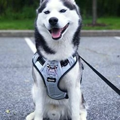 Top 10 😉 Mia's Pet Supply : Babyltrl Silver Big 🦮 Dog Harness No-Pull Anti-Tear Adjustable Leashes And Harness 🎉 10 Mia's Pet Supply : Babyltrl Silver Big Dog Harness No-Pull Anti-Tear Adjustable Leashes And Harness