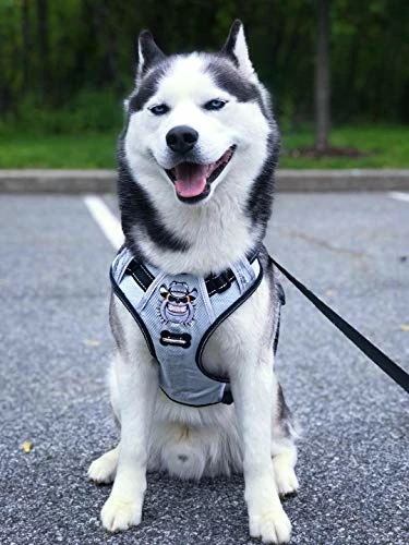 Top 10 😉 Mia's Pet Supply : Babyltrl Silver Big 🦮 Dog Harness No-Pull Anti-Tear Adjustable Leashes And Harness 🎉 4 Mia's Pet Supply : Babyltrl Silver Big Dog Harness No-Pull Anti-Tear Adjustable Leashes And Harness