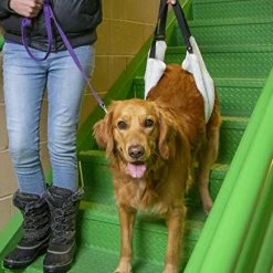 Mia's Pet Supply Labra Plush Soft Dog Canine K9 Sling