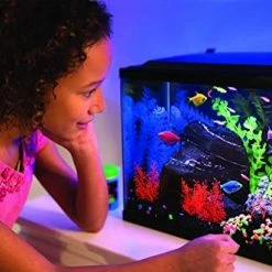 Mia's Pet Supply GloFish 20 Gallon Aquarium Kit With LED Lights, Decor Heater And Filter Fish Products