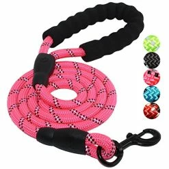 Cheapest 🎁 Mia's Pet Supply Strong 🐕 Dog Leash With Comfortable Padded Handle Leashes And Harness 👍 30 Mia's Pet Supply Strong Dog Leash With Comfortable Padded Handle Leashes And Harness