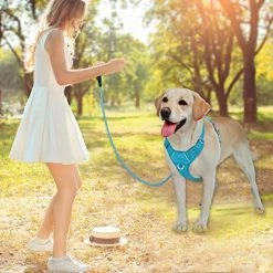 Mia's Pet Supply No Pull Dog Harness Front Clip Heavy Duty Reflective Easy Control Handle For Large Dog Leashes And Harness