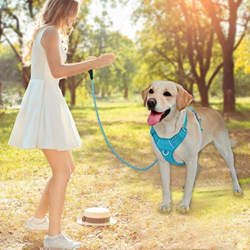 New 💯 Mia's Pet Supply No Pull 🐕 Dog Harness Front Clip Heavy Duty Reflective Easy Control Handle For Large 🐕 Dog Leashes And Harness ✨ 2 Mia's Pet Supply No Pull Dog Harness Front Clip Heavy Duty Reflective Easy Control Handle For Large Dog Leashes And Harness