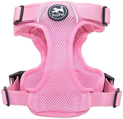 New 🌟 Mia's Pet Supply Leashes And Harness PoyPet Reflective Soft Breathable Mesh 🐶 Dog Harness 🤩 2 Mia's Pet Supply Leashes And Harness PoyPet Reflective Soft Breathable Mesh Dog Harness