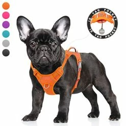 Mia's Pet Supply BARKBAY No Pull Dog Harness Large Step In Reflective Dog Harness Leashes And Harness