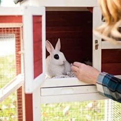 Best deal π Mia's Pet Supply Advantek The Stilt House Rabbit Hutch Rabbit Houses & Accessories π 17 Mia's Pet Supply Advantek The Stilt House Rabbit Hutch Rabbit Houses & Accessories