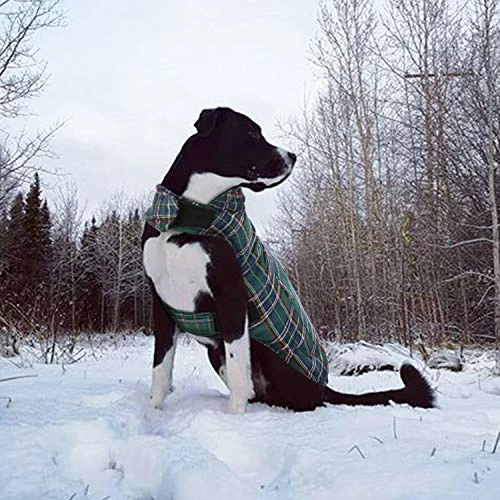 Best Sale 😉 Mia's Pet Supply Apparel KAMA BRIDAL Plaid 🐶 Dog Fleece Vest, Reversible Warm 🐶 Dog Clothes, 🥰 14 Mia's Pet Supply Apparel KAMA BRIDAL Plaid Dog Fleece Vest, Reversible Warm Dog Clothes,