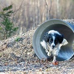 New 🔥 Mia's Pet Supply 🐕 Dog Toys : PlayfulSpirit Durable Natural Rubber Ball On A Rope 🔔 13 Mia's Pet Supply Dog Toys : PlayfulSpirit Durable Natural Rubber Ball On A Rope