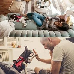 Mia's Pet Supply Leashes And Harness Service Dog Harness, No Pull Harness With Handle