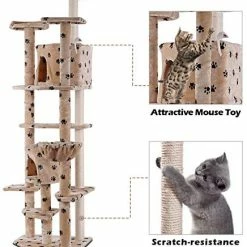Wholesale ๐คฉ Mia's Pet Supply Tangkula Cat Tree, Kitten Condo Multi-Level Activity Tower Pet Furniture ๐ฅ 15 Mia's Pet Supply Tangkula Cat Tree, Kitten Condo Multi-Level Activity Tower Pet Furniture