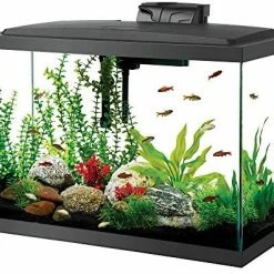 Mia's Pet Supply Aqueon Aquarium Fish Tank Kit, 20 Gallon : Pet Supplies