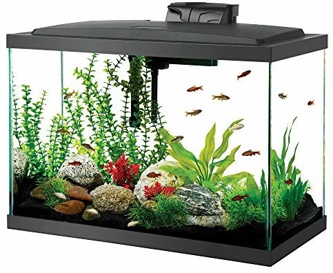 Top 10 π₯° Mia's Pet Supply Aqueon Aquarium Fish Tank Kit, 20 Gallon : Pet Supplies β 1 Mia's Pet Supply Aqueon Aquarium Fish Tank Kit, 20 Gallon : Pet Supplies