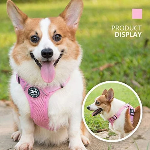 New 🌟 Mia's Pet Supply Leashes And Harness PoyPet Reflective Soft Breathable Mesh 🐶 Dog Harness 🤩 7 Mia's Pet Supply Leashes And Harness PoyPet Reflective Soft Breathable Mesh Dog Harness