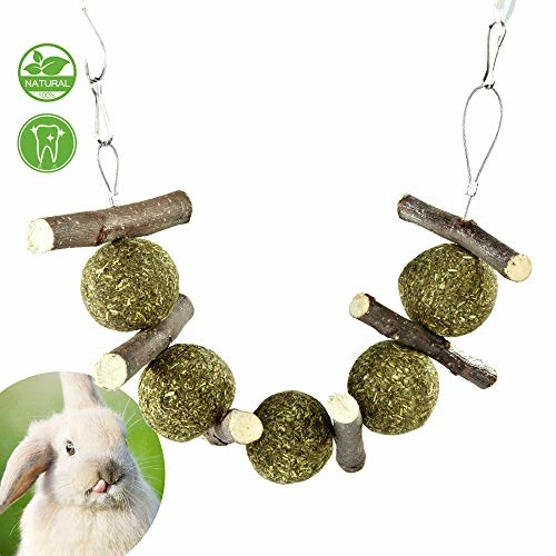 Flash Sale βοΈ Mia's Pet Supply : PETLAOO Bunny Chew Toys For Teeth, Improve Dental Health - 𧨠1 Mia's Pet Supply : PETLAOO Bunny Chew Toys For Teeth, Improve Dental Health -