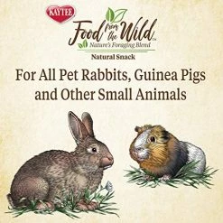 New 😍 Mia's Pet Supply Kaytee Food From The Wild Natural Snack Rabbit Houses & Accessories ⭐ 15 Mia's Pet Supply Kaytee Food From The Wild Natural Snack Rabbit Houses & Accessories