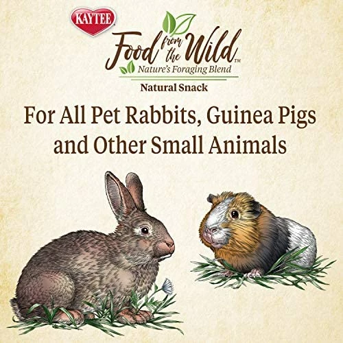 New 😍 Mia's Pet Supply Kaytee Food From The Wild Natural Snack Rabbit Houses & Accessories ⭐ 5 Mia's Pet Supply Kaytee Food From The Wild Natural Snack Rabbit Houses & Accessories
