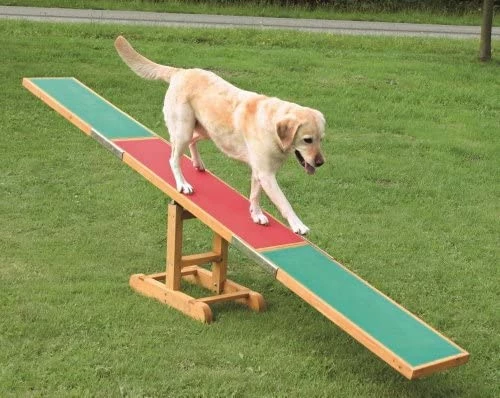 Best Sale ๐งจ Mia's Pet Supply Training Trixie Agility Seesaw, Non-Slip Surface โจ 1 Mia's Pet Supply Training Trixie Agility Seesaw, Non-Slip Surface