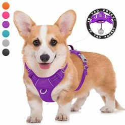 Mia's Pet Supply BARKBAY No Pull Dog Harness Large Step In Reflective Dog Harness Leashes And Harness