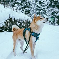 Mia's Pet Supply Leashes And Harness : Embark Adventure Harness For Dogs