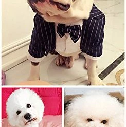 Mia's Pet Supply : Formal Tuxedo With Black Tie For Small Dog