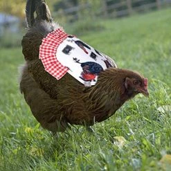 Mia's Pet Supply Chicken Coop Cages Petknows Standard Chicken Saddle