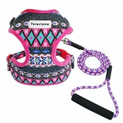 Mia's Pet Supply Multi-Colored Stylish Dog Walking Vest Harness And Leash Set- Leashes And Harness