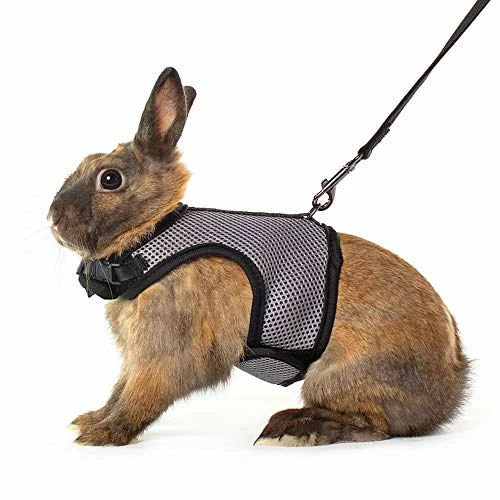 Discount โ Mia's Pet Supply Rabbit Houses & Accessories : Niteangel Adjustable Soft Harness With Elastic Leash For Rabbits (L, Orange) : ๐งจ 3 Mia's Pet Supply Rabbit Houses & Accessories : Niteangel Adjustable Soft Harness With Elastic Leash For Rabbits (L, Orange) :
