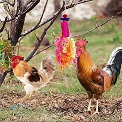 Mia's Pet Supply Vehomy Chicken Toys For Hen With Natural Colorful Loofah Shredder Toys