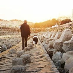 Top 10 โจ Mia's Pet Supply Dihapet ๐ Dog Harness, Service ๐ Dog Vest ๐คฉ 20 Mia's Pet Supply Dihapet Dog Harness, Service Dog Vest