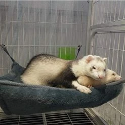 Mia's Pet Supply EONMIR Small Animal Sponge Double Hammock,