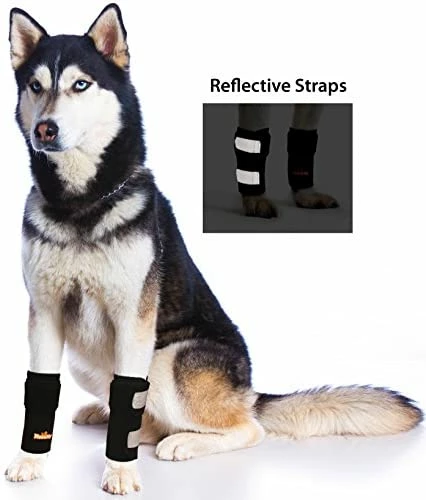 Buy 👍 Mia's Pet Supply Pair Of NeoAlly 🐕 Dog Front Leg Braces Canine Carpal Support ✨ 1 Mia's Pet Supply Pair Of NeoAlly Dog Front Leg Braces Canine Carpal Support