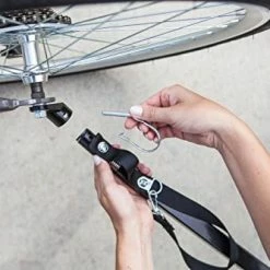 Mia's Pet Supply Schwinn Rascal Bike Pet Trailer, For Small And Large Dogs, Small, Orange