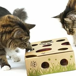 Mia's Pet Supply : Cat Interactive Treat Maze & Puzzle Feeder Cat Toys