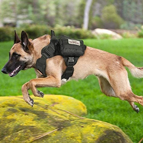 Best reviews of 🔔 Mia's Pet Supply Leashes And Harness Tactical 🐶 Dog Harness Vest Large With Handle 🤩 9 Mia's Pet Supply Leashes And Harness Tactical Dog Harness Vest Large With Handle