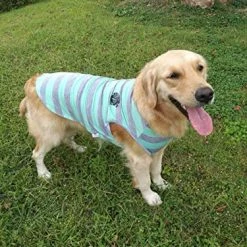 Cheapest π Mia's Pet Supply Camisetas Para Cachorro Con Tiras Anchas Para Perro, Ropa Para Mascotas, π― 21 Mia's Pet Supply Camisetas Para Cachorro Con Tiras Anchas Para Perro, Ropa Para Mascotas,