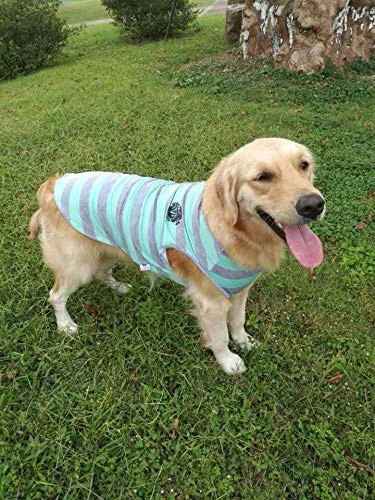 Cheapest π Mia's Pet Supply Camisetas Para Cachorro Con Tiras Anchas Para Perro, Ropa Para Mascotas, π― 9 Mia's Pet Supply Camisetas Para Cachorro Con Tiras Anchas Para Perro, Ropa Para Mascotas,