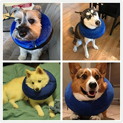 New 🎉 Mia's Pet Supply Apparel VST Comfortable Protective Inflatable Cone Collar 🎁 7 Mia's Pet Supply Apparel VST Comfortable Protective Inflatable Cone Collar
