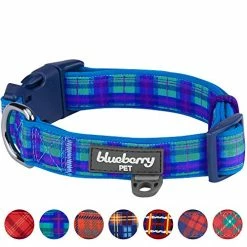 Mia's Pet Supply Blueberry Style Designer Padded Adjustable Dog Collar