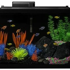 Mia's Pet Supply GloFish 20 Gallon Aquarium Kit With LED Lights, Decor Heater And Filter Fish Products