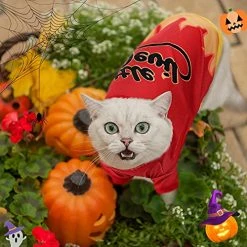 Mia's Pet Supply Apparel 5 Pcs Fall Halloween Dog Shirt Halloween